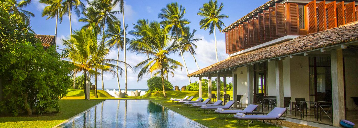 Frangipani Tree Koggala Frangipani Tree Koggala