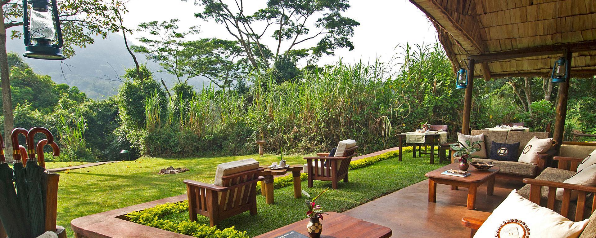 Gorilla forest Camp Gorilla forest Camp