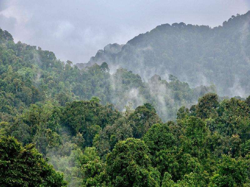 Rwanda Tour, Rwanda Tour Rwanda Tour, Rwanda Tour