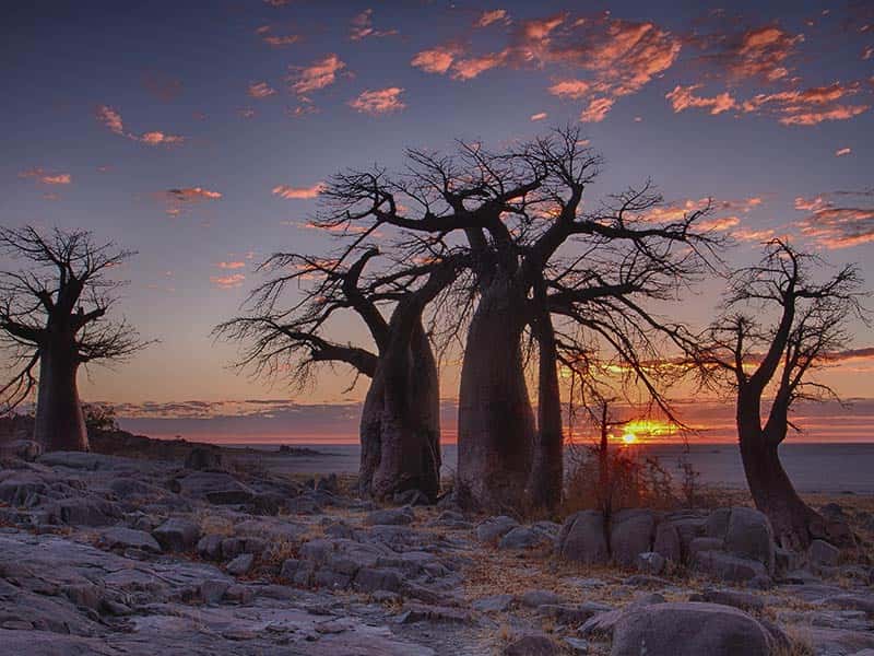 Sundown in Botswana