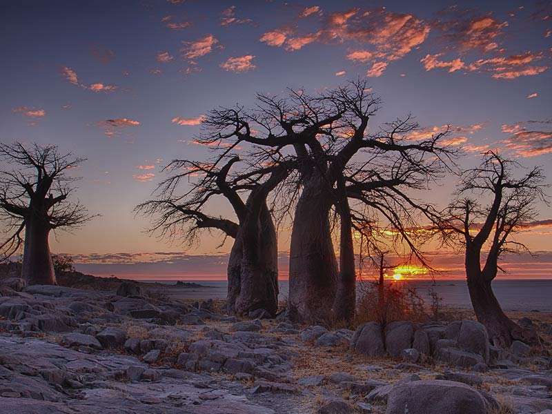 Sundown in Botswana Sundown in Botswana