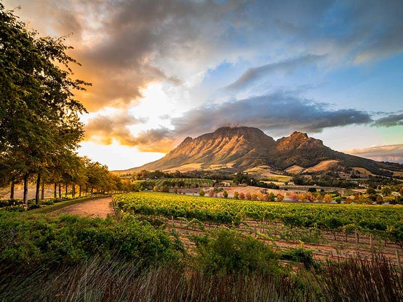 Nature of South Africa Nature of South Africa