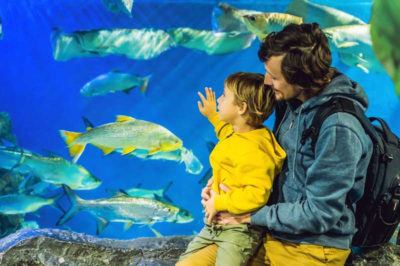 Dubai Aquarium