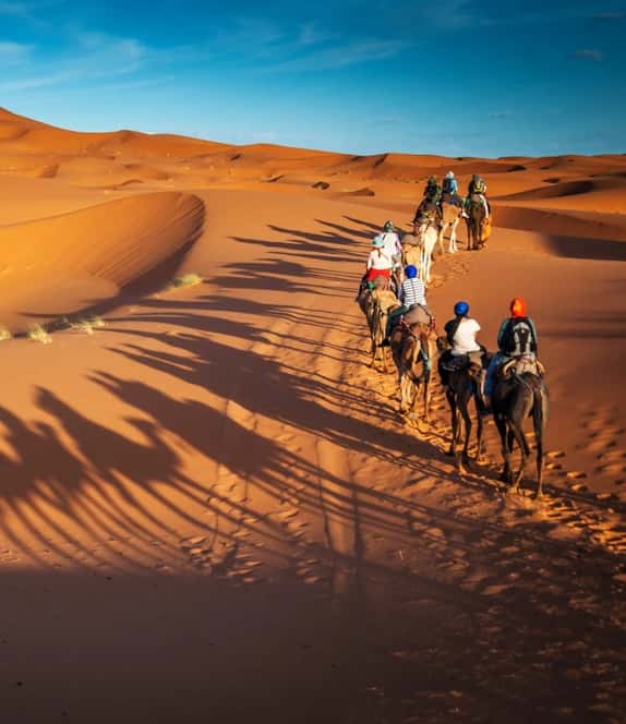 Desert, Saudi Arabia and Egypt Tour