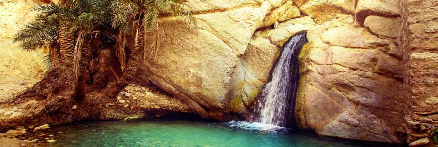 Negombo Nature Negombo Nature