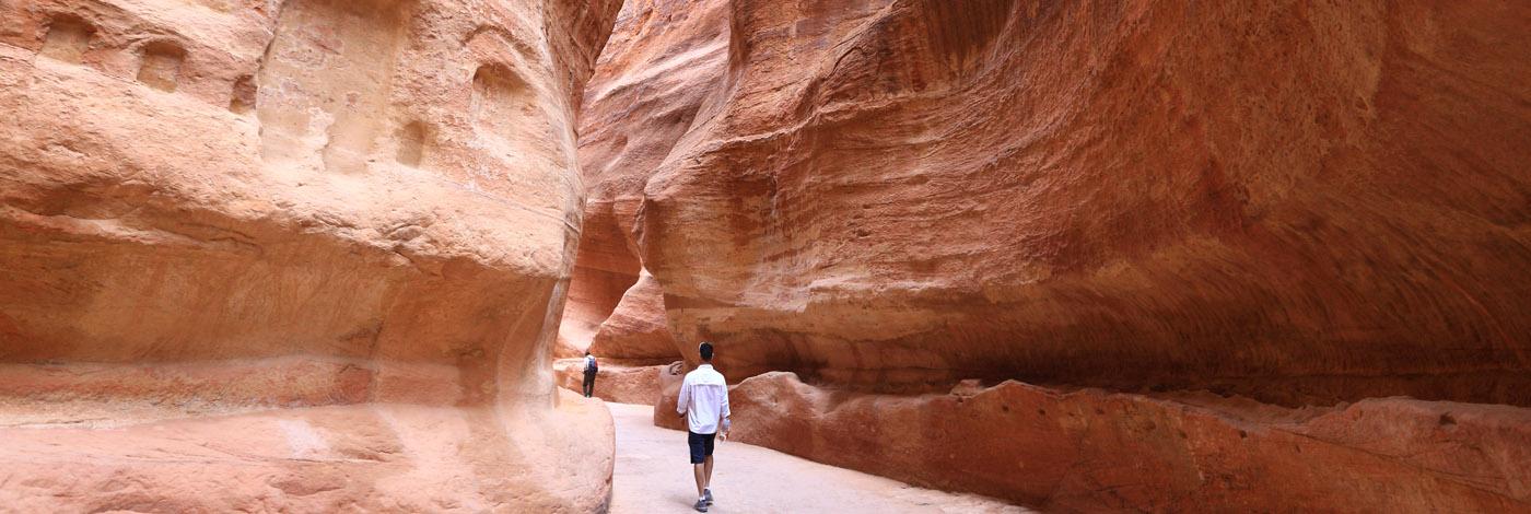 The Siq of Petra The Siq of Petra
