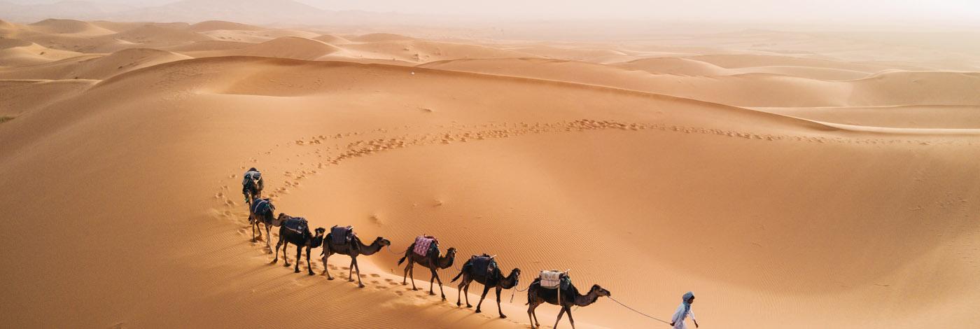 City of Merzouga City of Merzouga