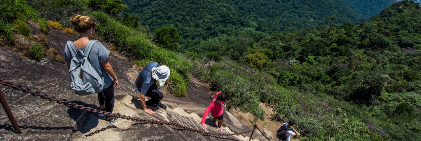 Tijuca National Park, Rio de Janeiro, Brazil Tijuca National Park, Rio de Janeiro, Brazil