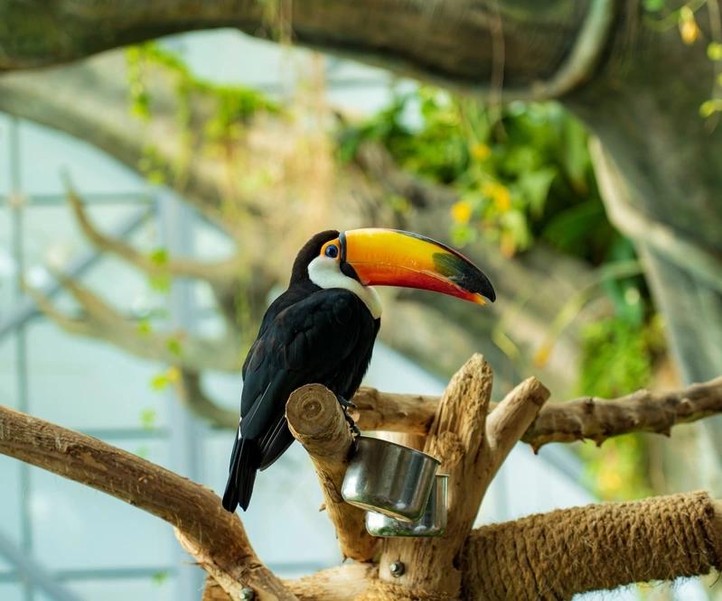 title of travel guide wiki