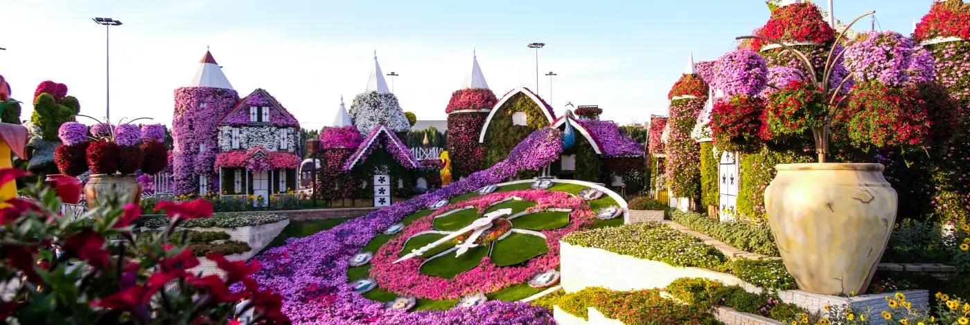 Miracle Garden, Dubai City - TravelVerse Miracle Garden, Dubai City - TravelVerse
