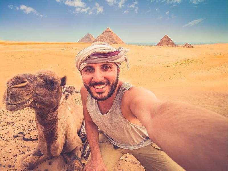 Camels Around Pyramids