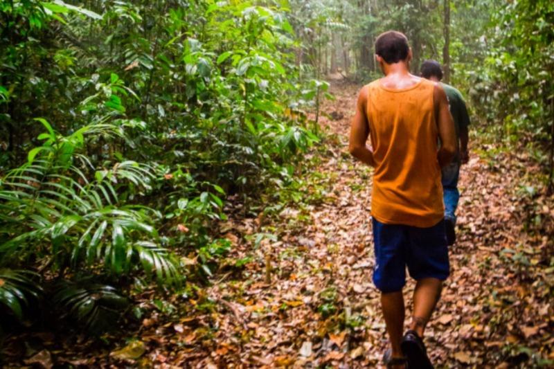 Rainforest Amazon River, Amazon River Rainforest Amazon River, Amazon River