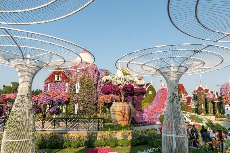 Miracle Garden, Dubai City - TravelVerse Miracle Garden, Dubai City - TravelVerse