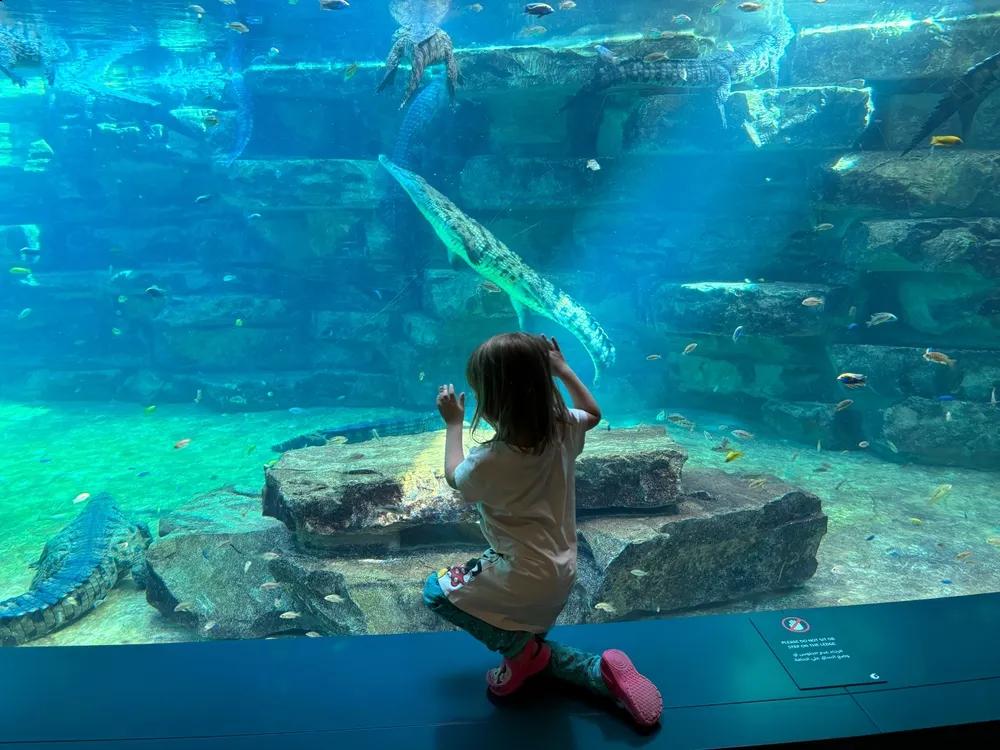 Dubai Crocodile Park, Dubai Trips Dubai Crocodile Park, Dubai Trips